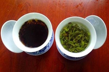 绿茶和红茶